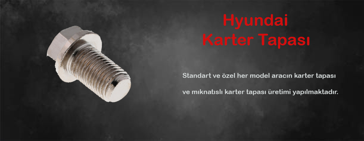 Hyundai Karter Tapası